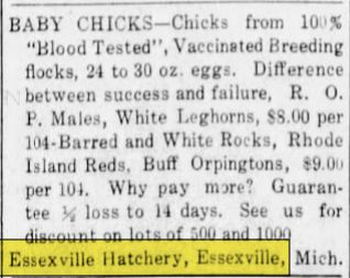 Essexville Hatchery - March 1937 Ad (newer photo)